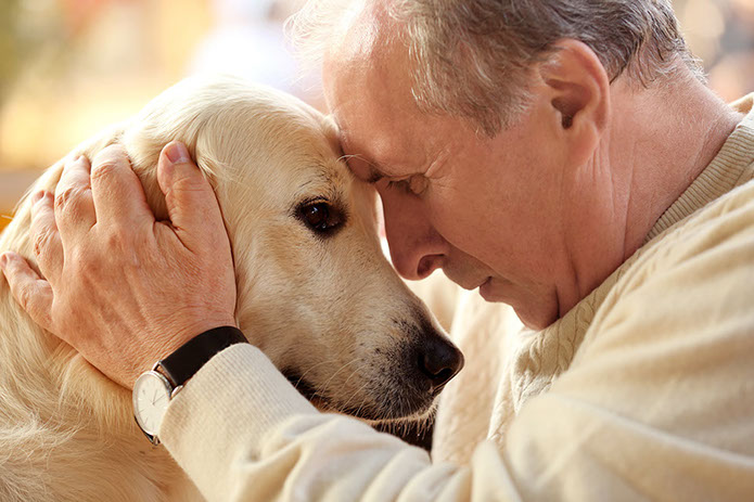 Stock image of senior man/senior dog