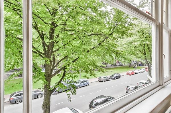 Looking through a window onto a street lined with cars