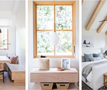 Andersen white oak species