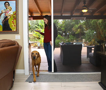 Athena door screen