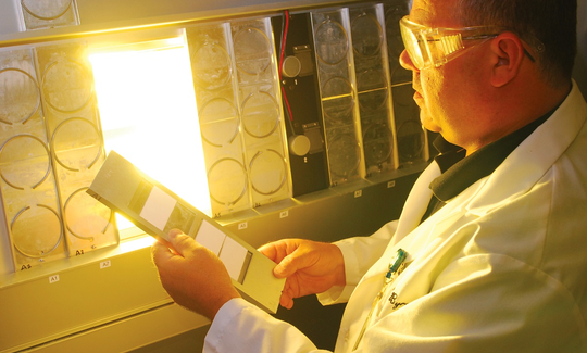 Pushing the Boundaries of Sustainability and Materials Science